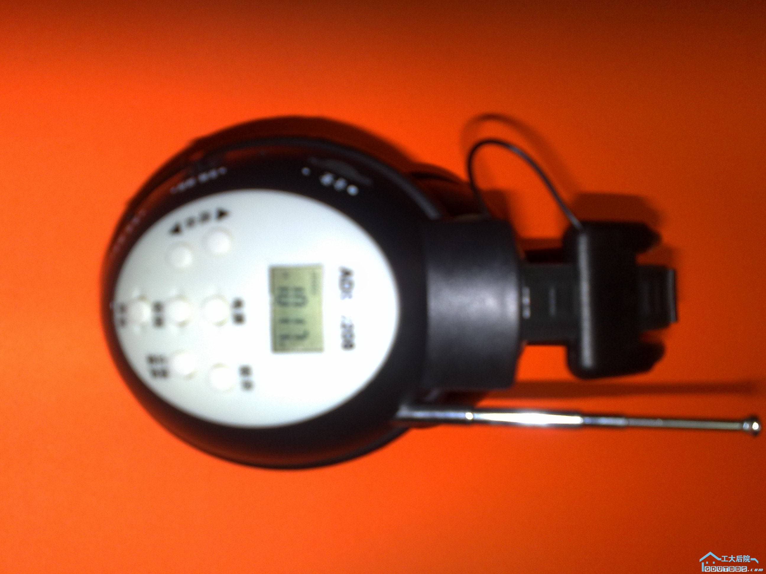 20100608372.jpg