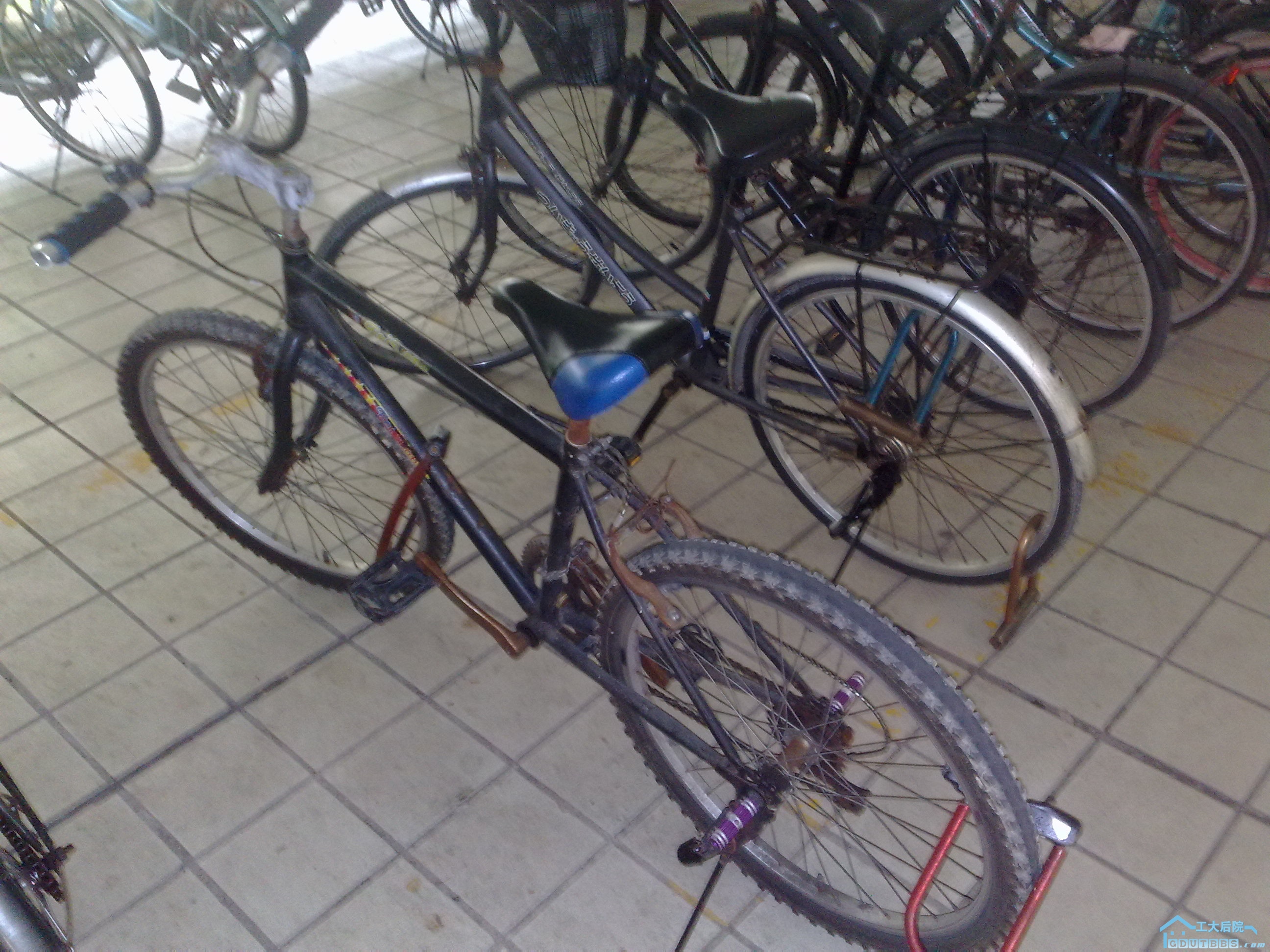 20100605796.jpg