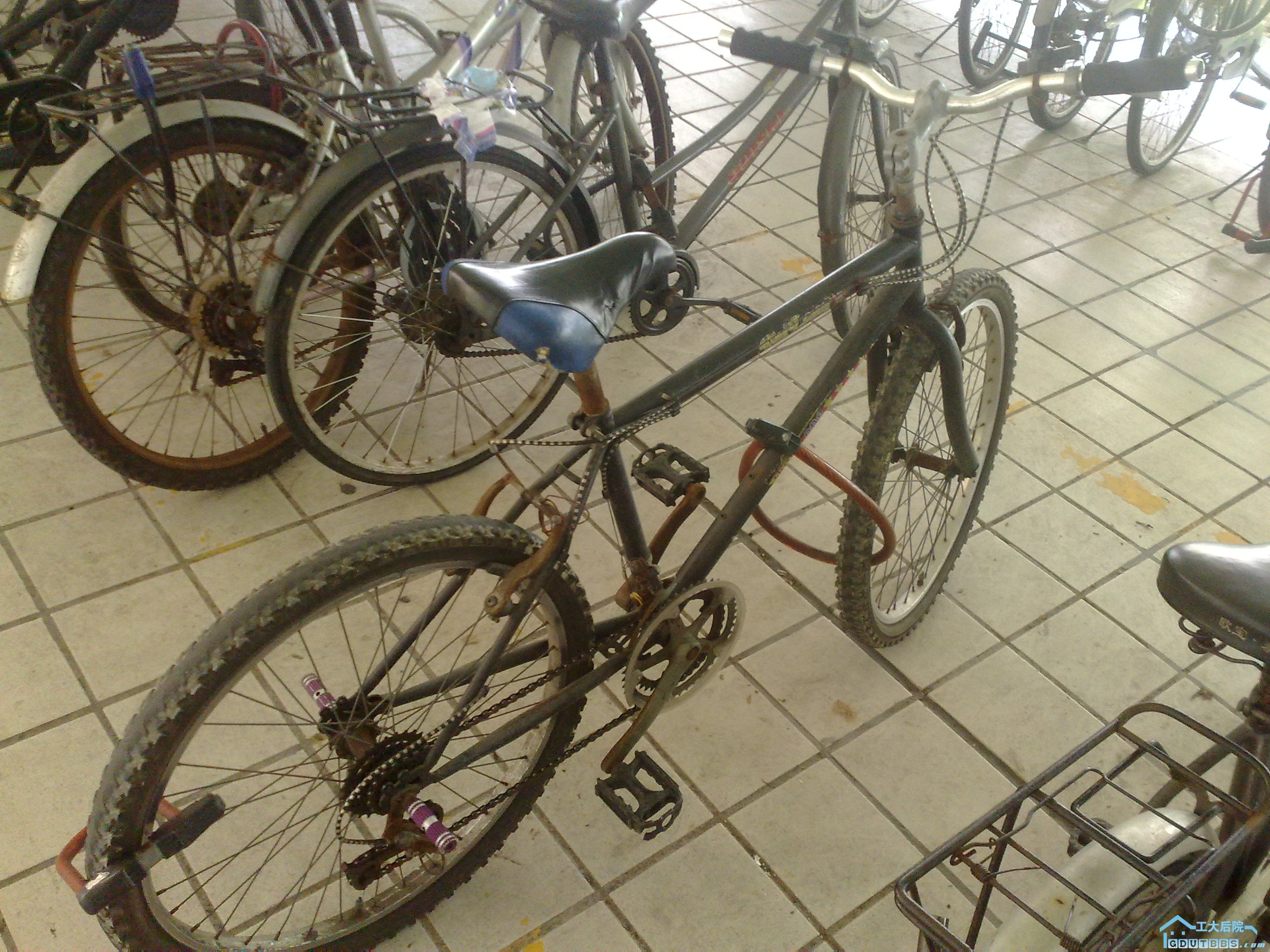 20100605797.jpg