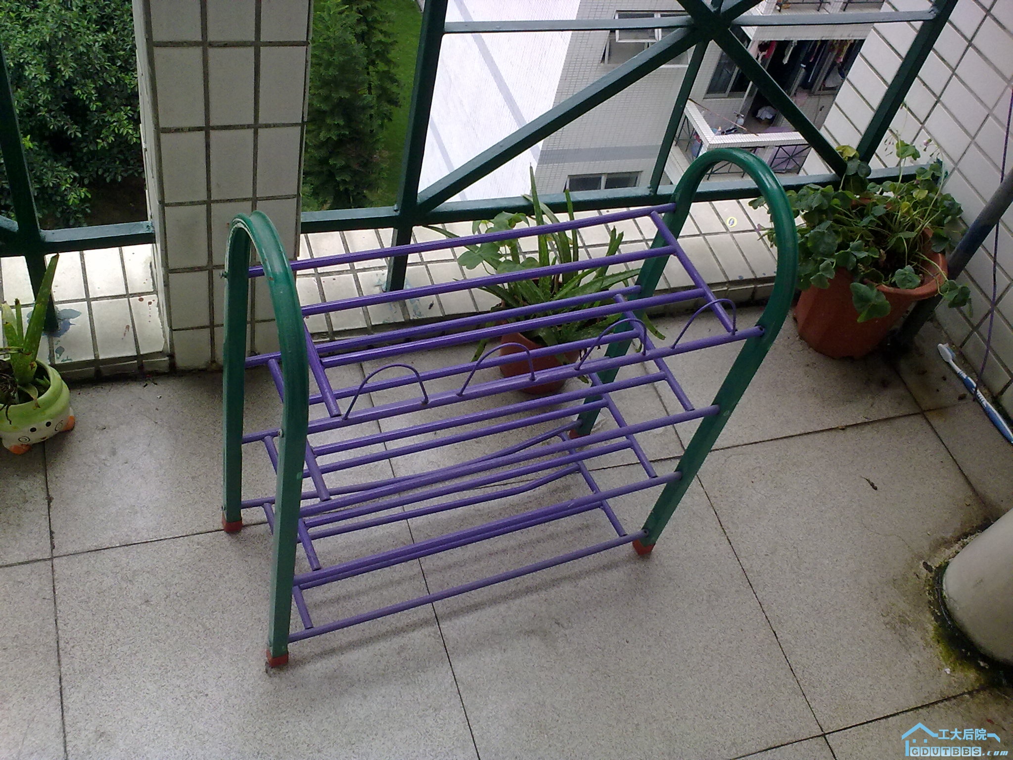 20100609100.jpg