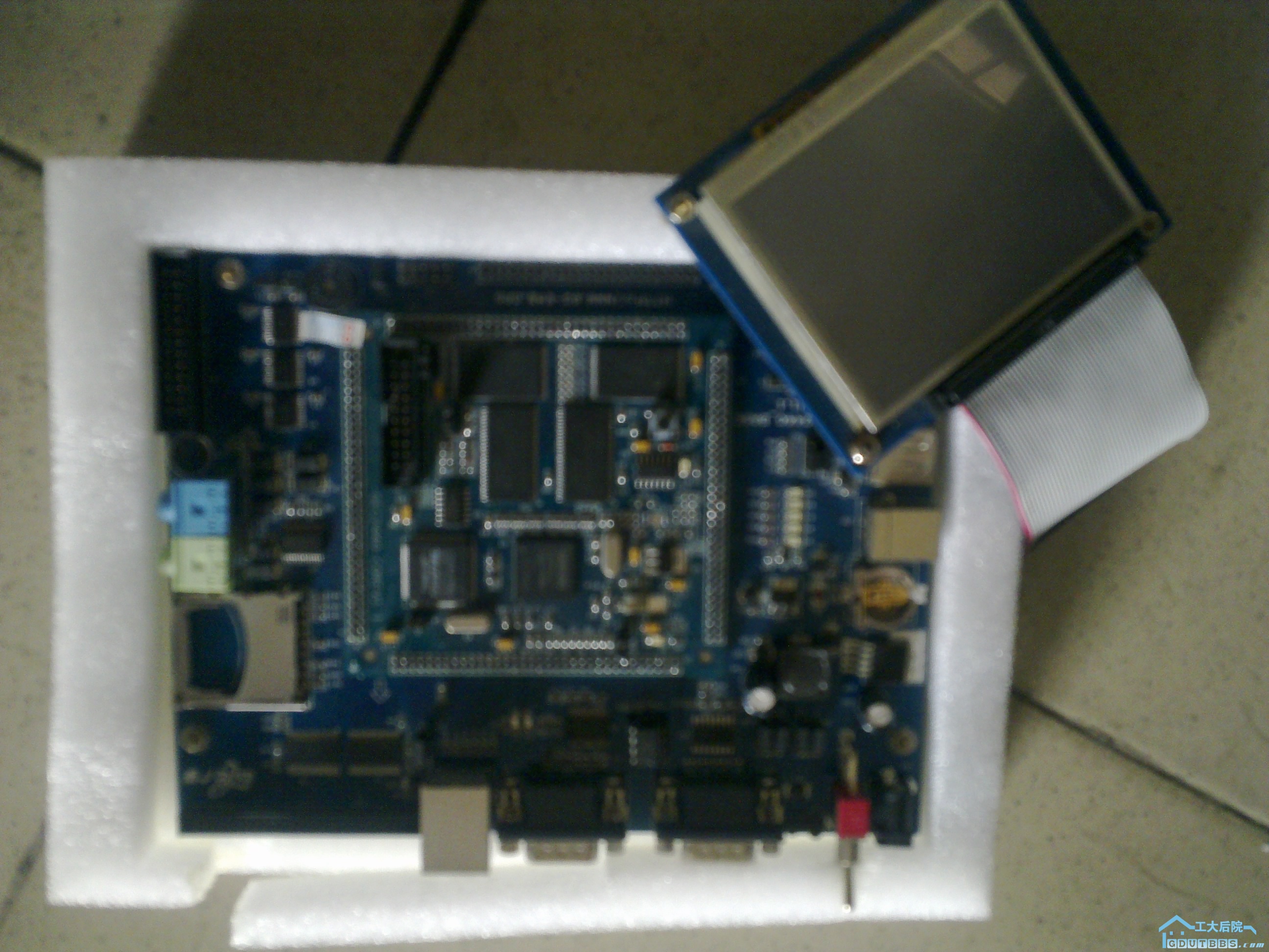 20100609206.jpg