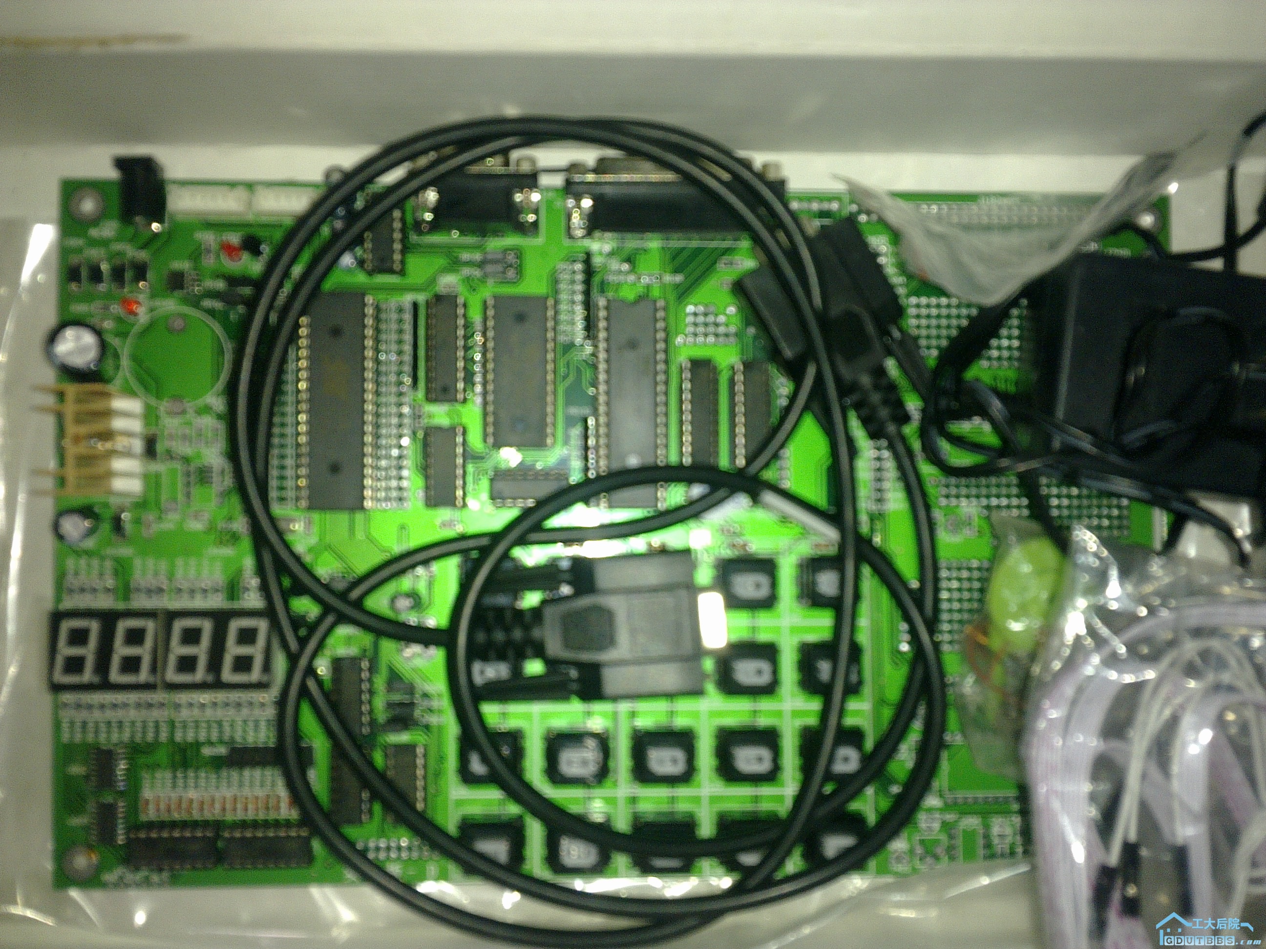 20100609211.jpg