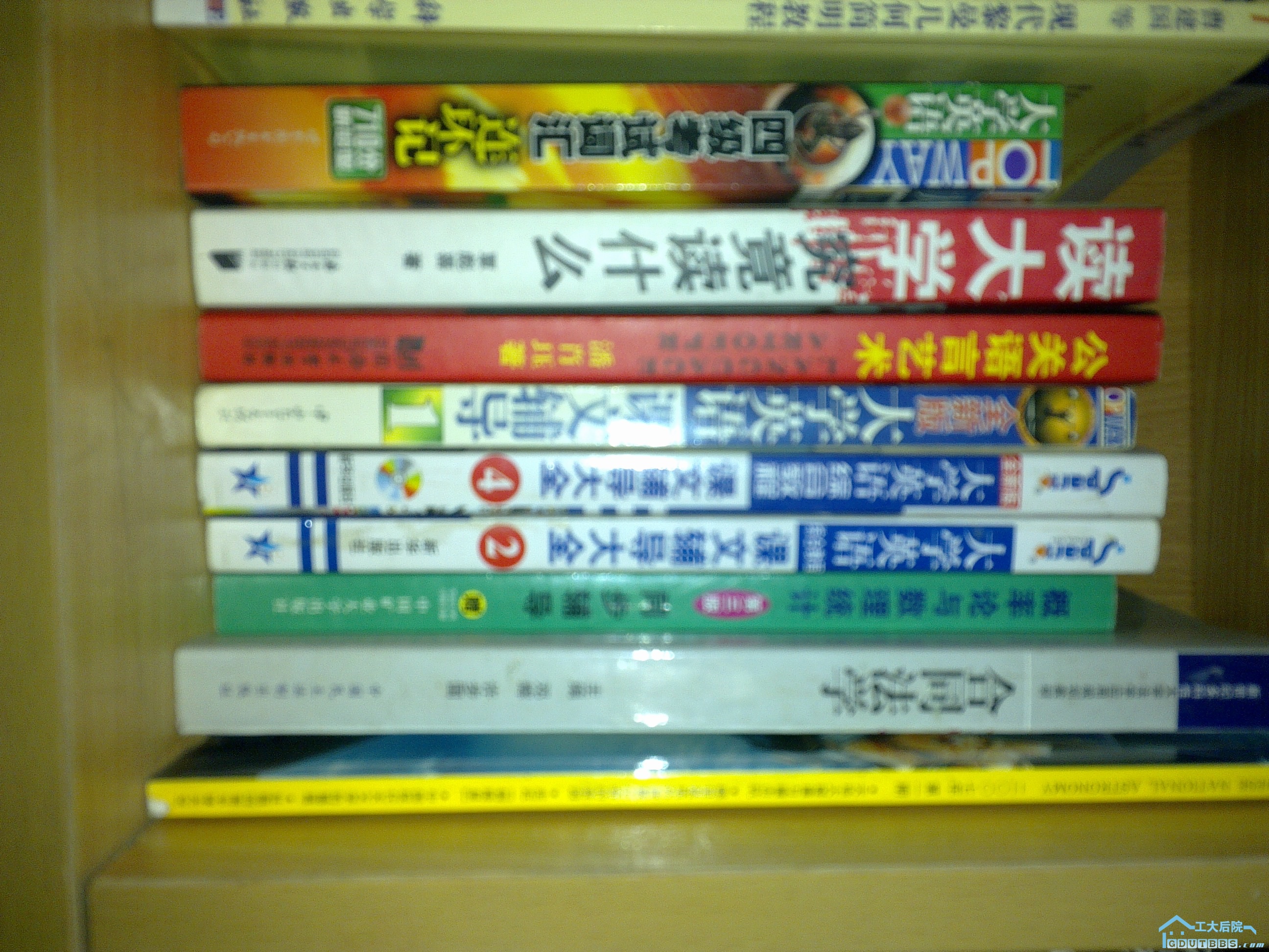 20100609216.jpg