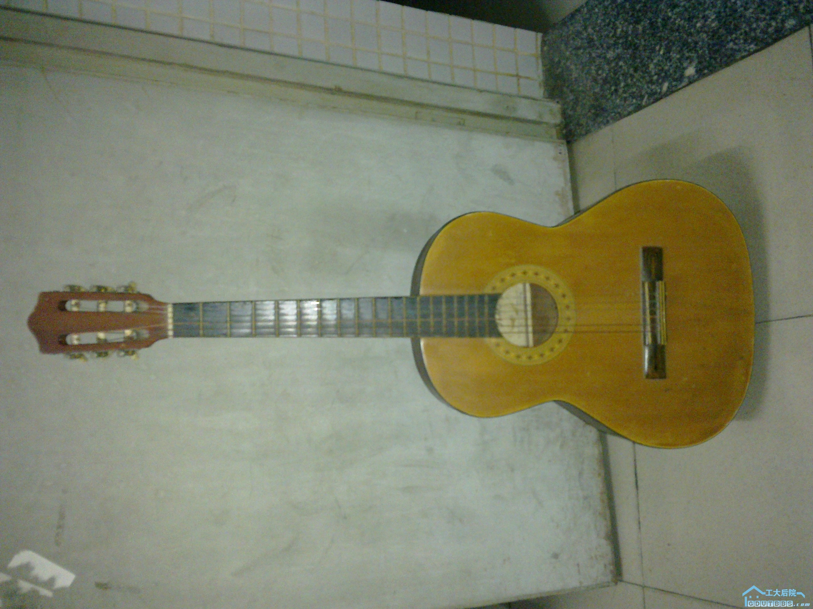 20100609228.jpg