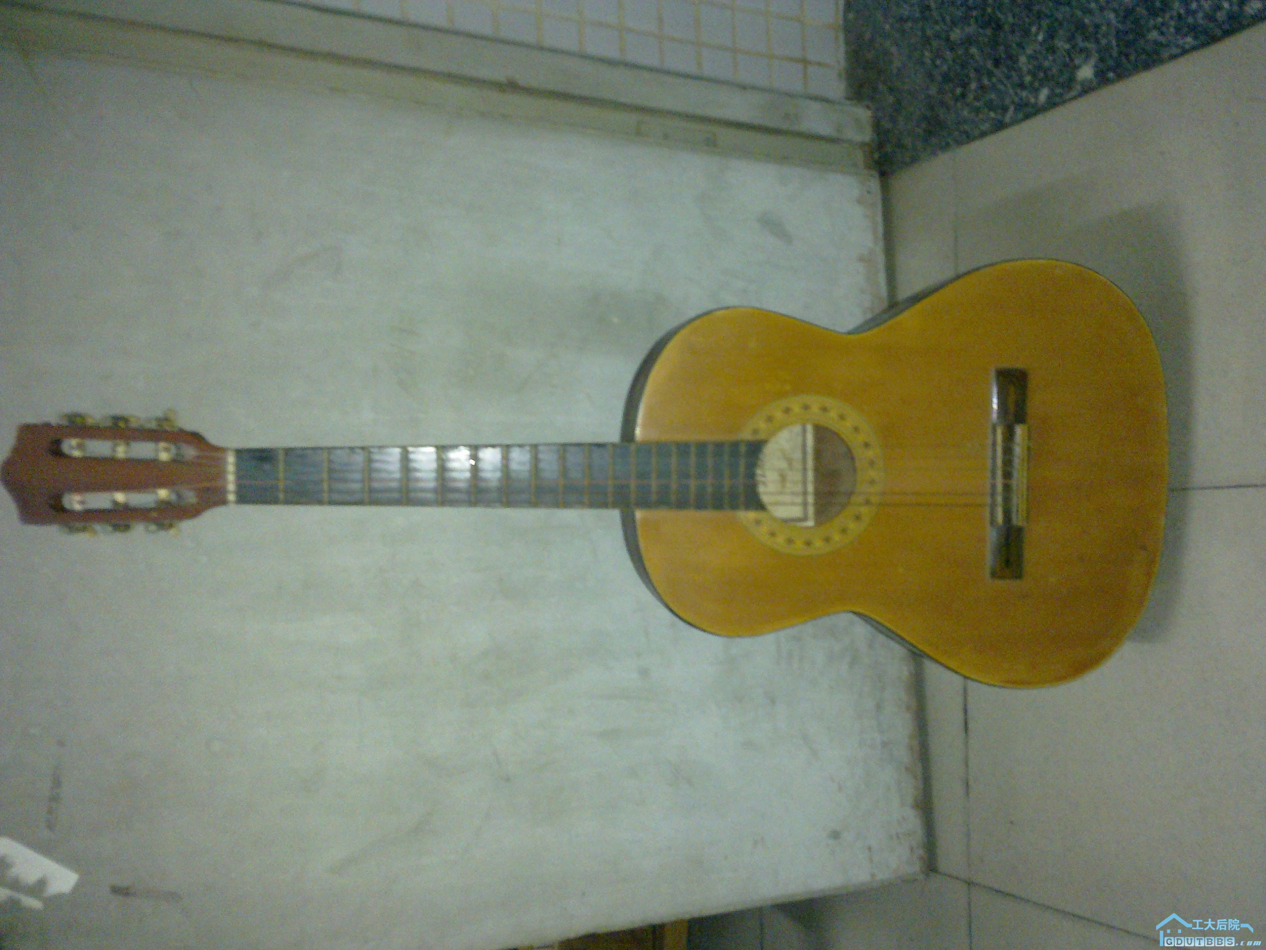 20100609229.jpg