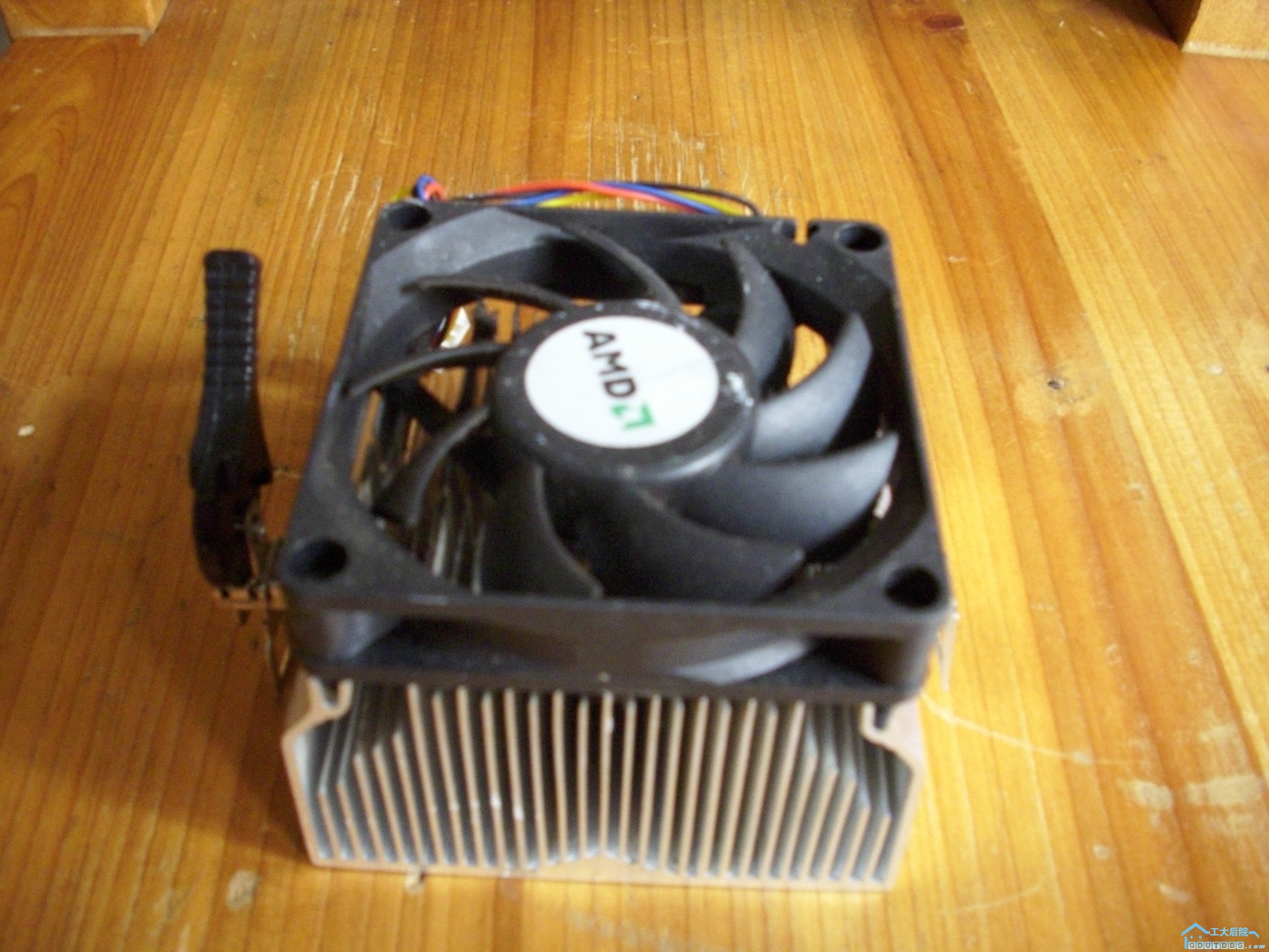 DSCI0008.JPG