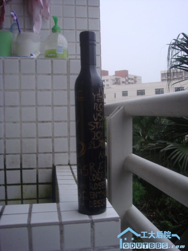 DSC02866.jpg