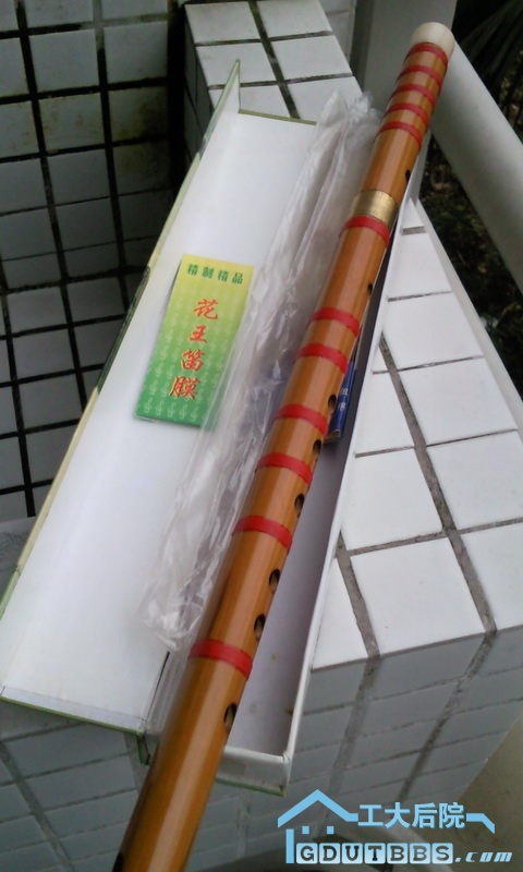 SNC00065.jpg