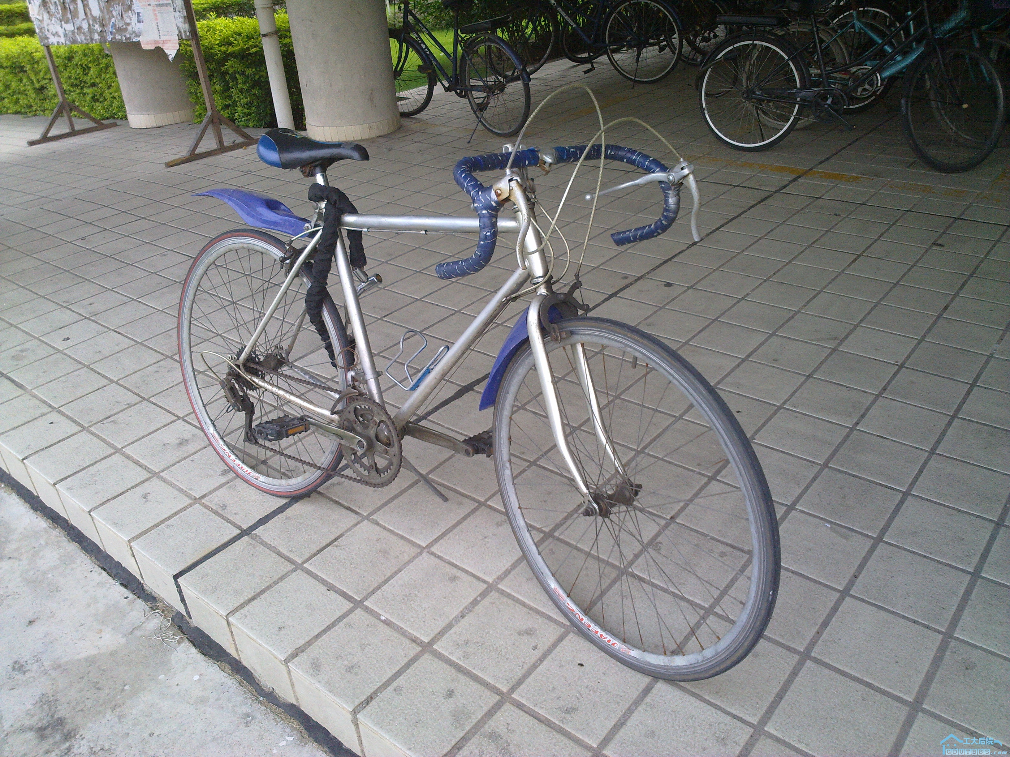 20100611152.jpg