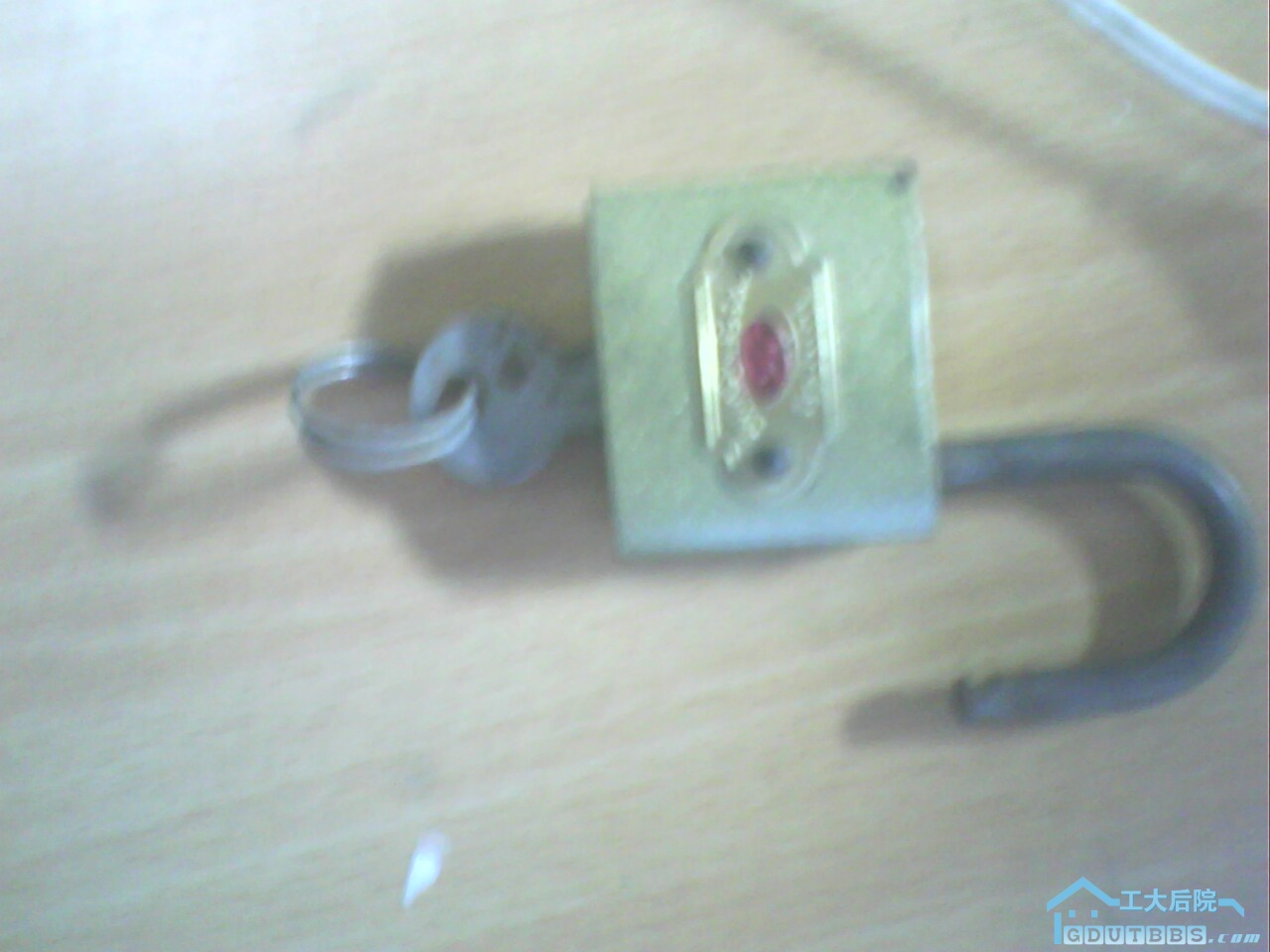 IMG0565A.jpg