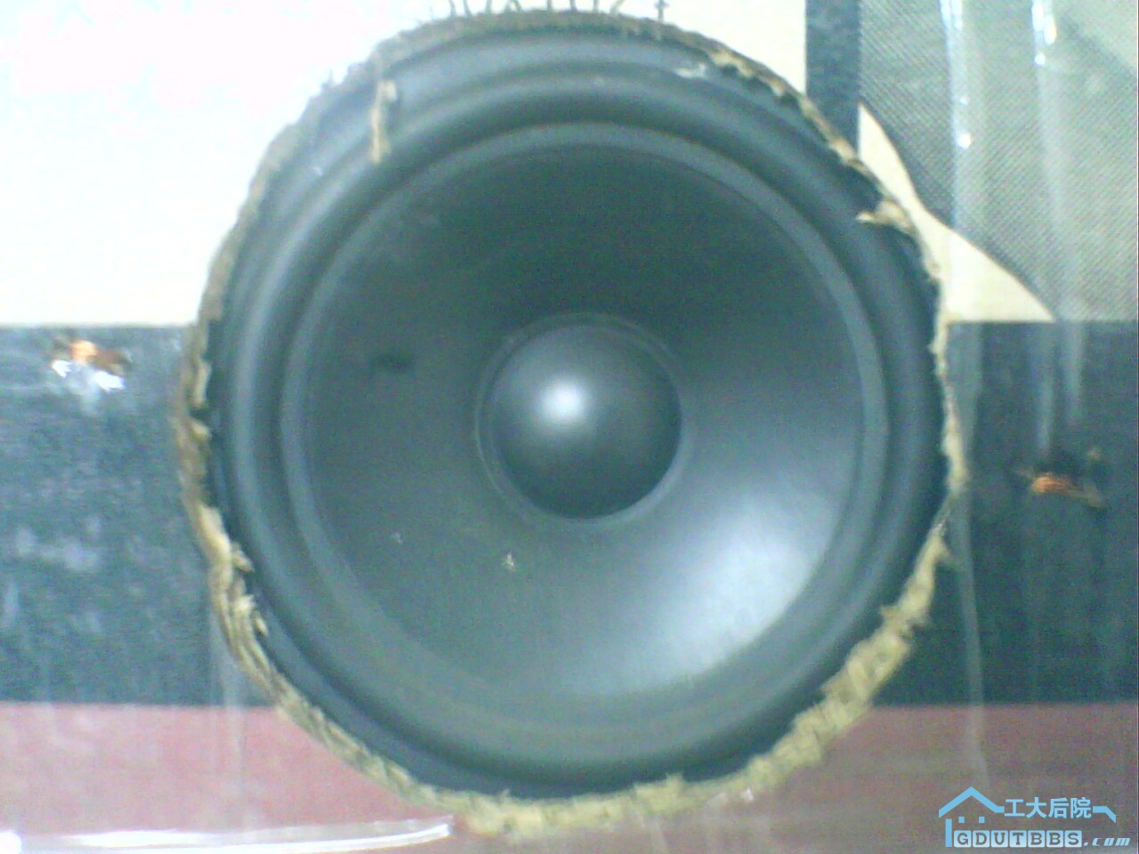 IMG0559A.jpg