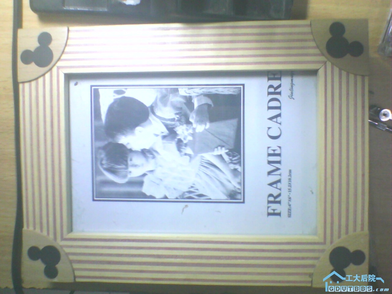 IMG0557A.jpg