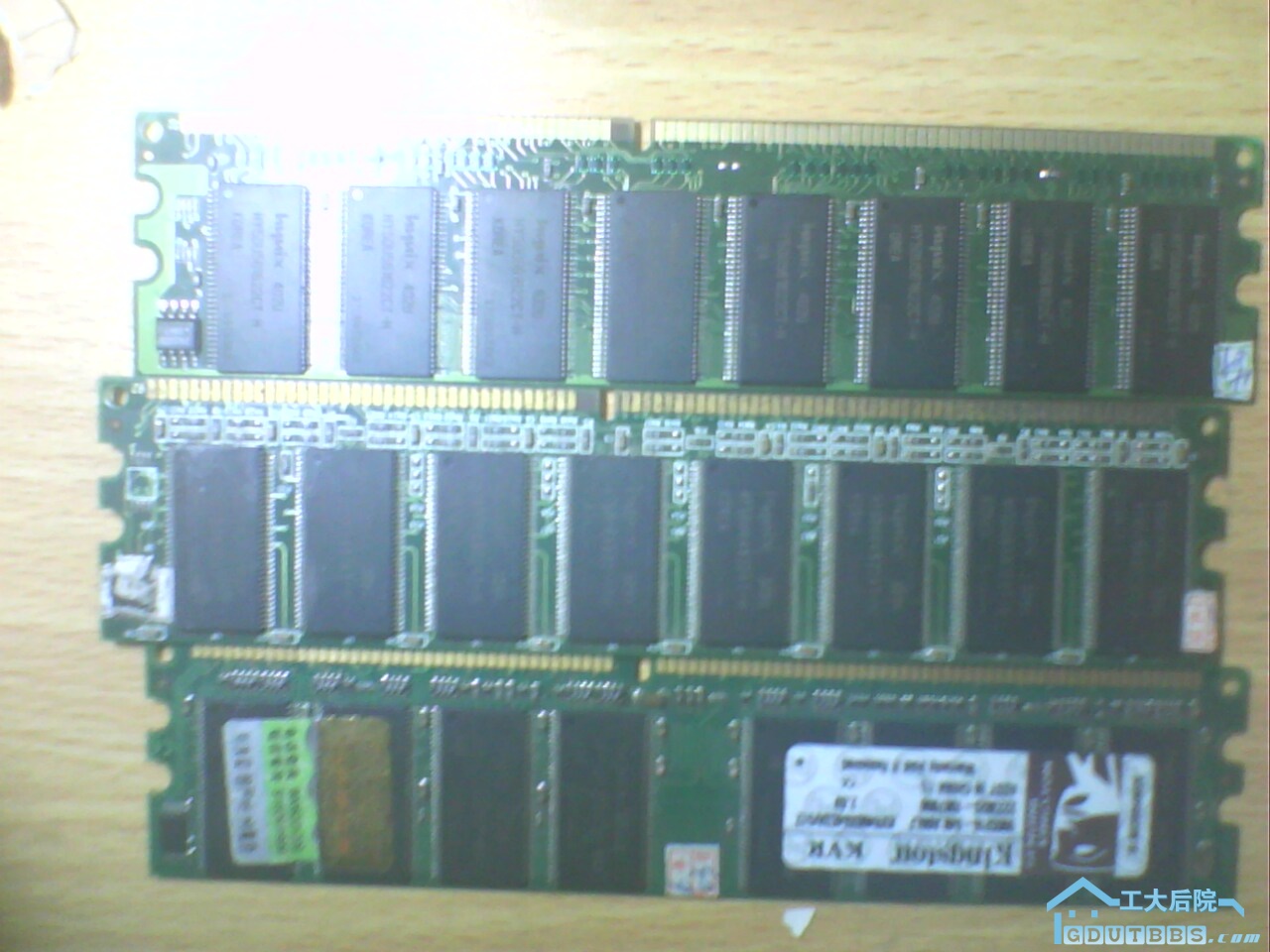 IMG0564A.jpg