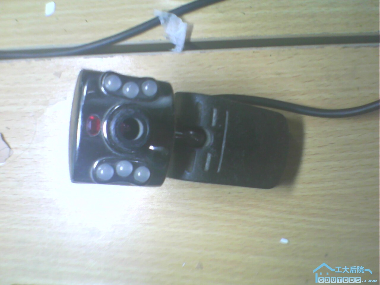 IMG0558A.jpg
