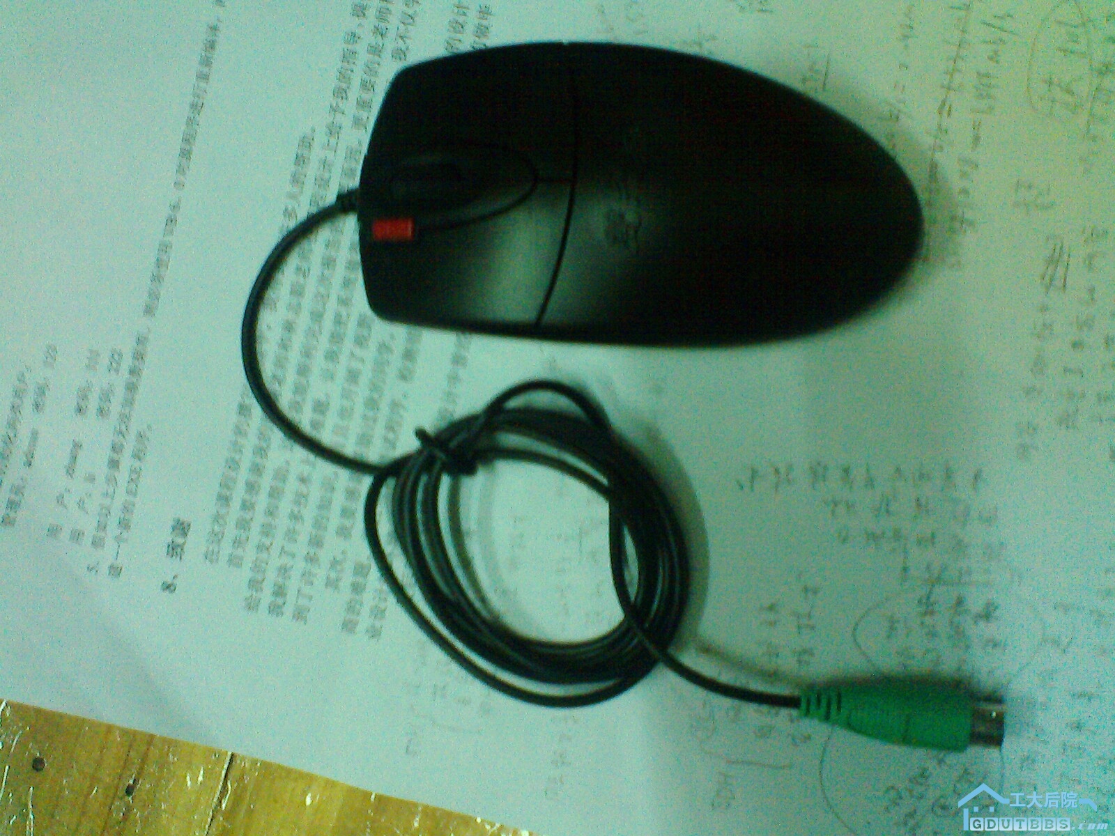 IMG0918A.jpg