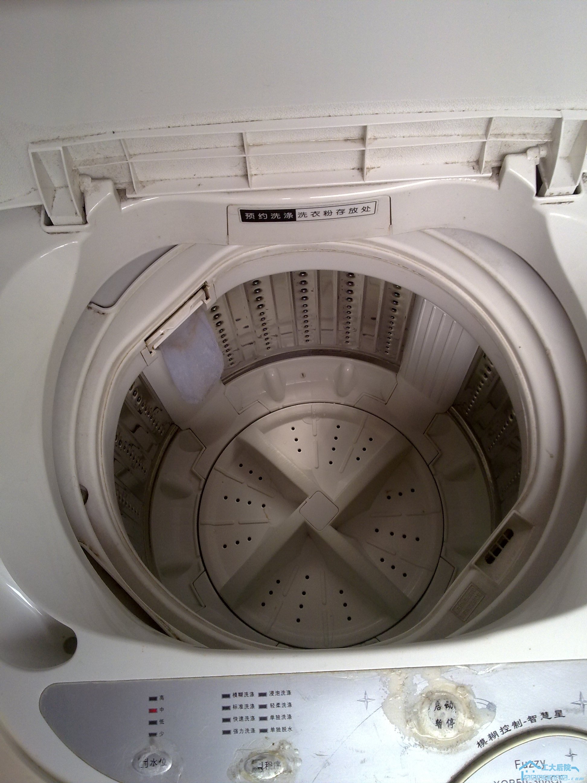 20100613078.jpg