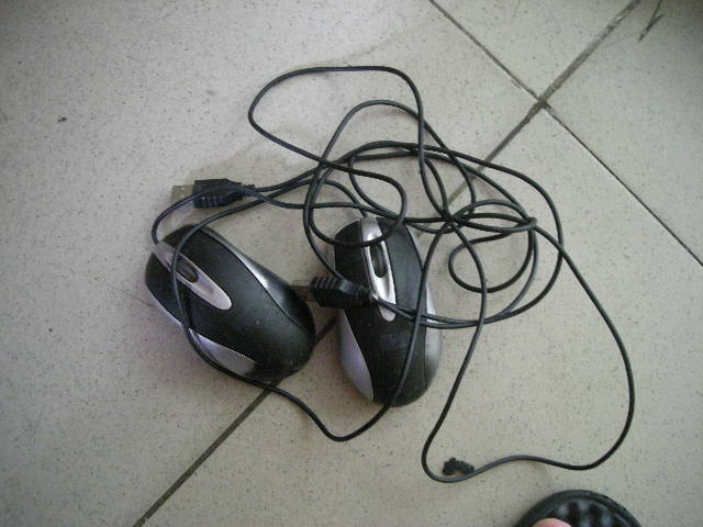DSCN8831.JPG