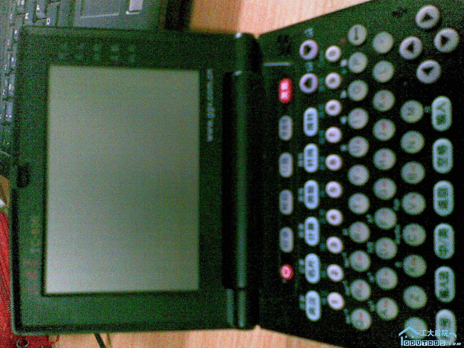 CC000008.jpg