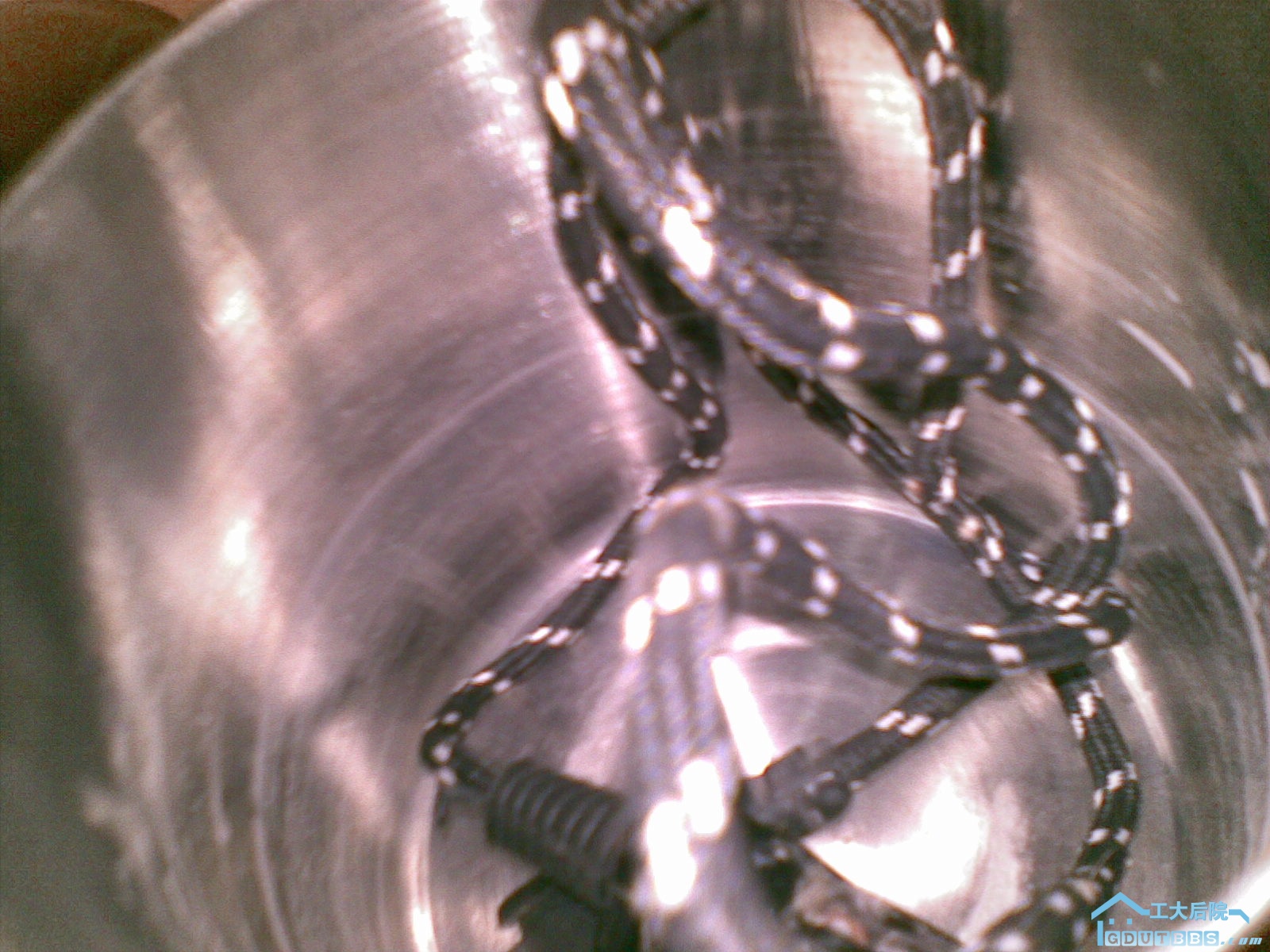 20100615_002.jpg