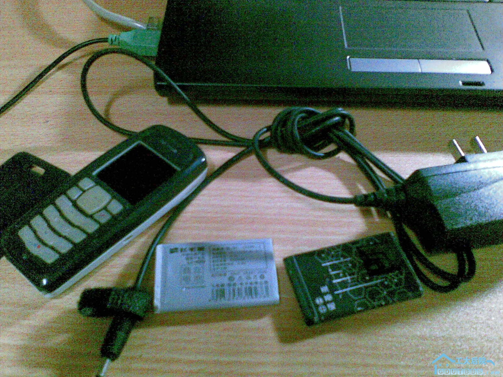 CC02300001.jpg