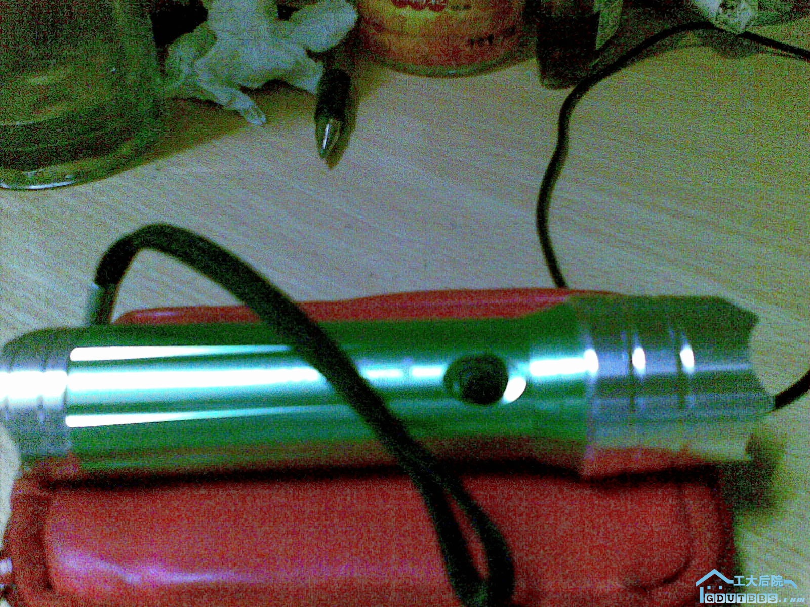 20100615_008.jpg