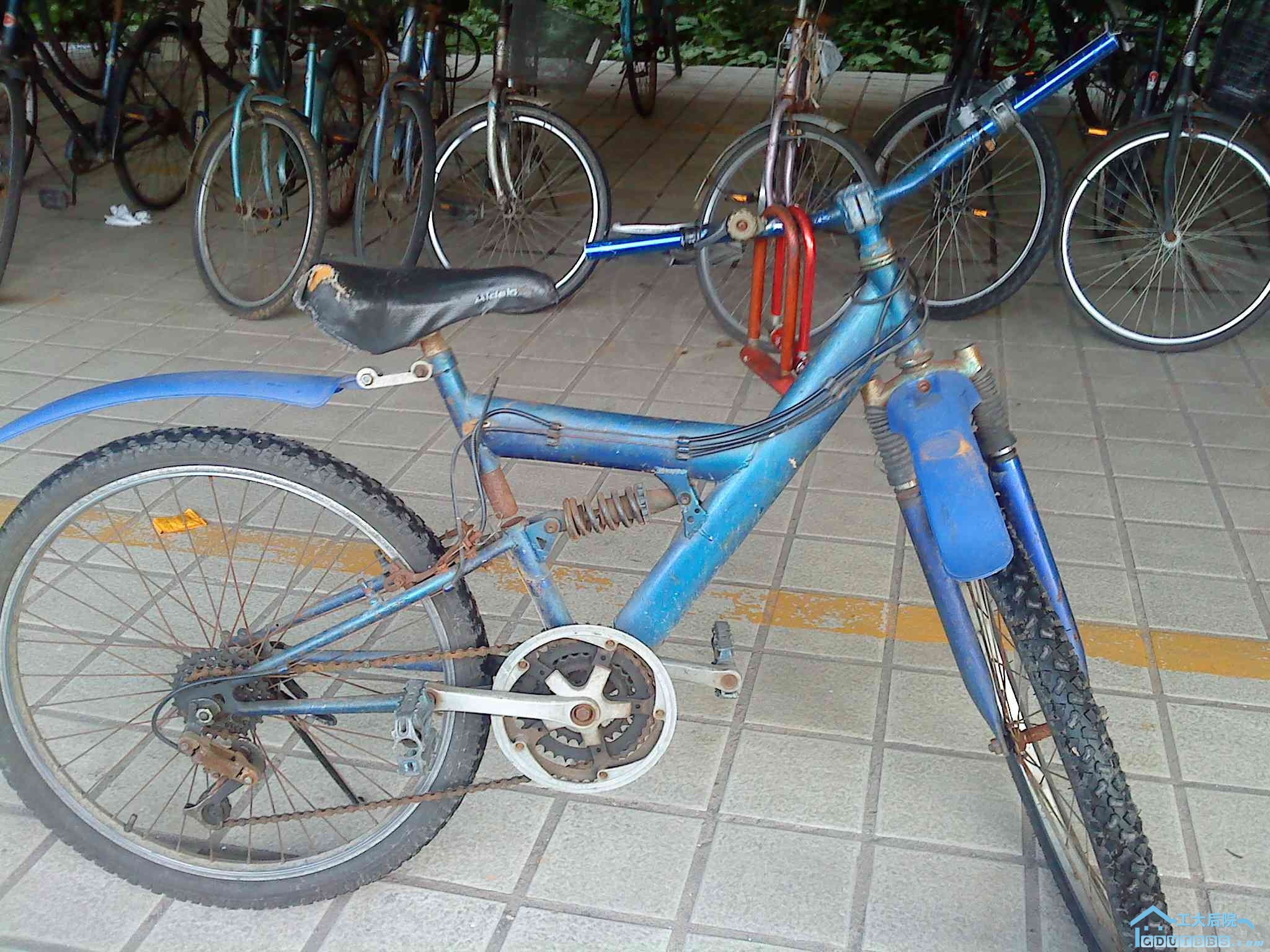 DSC00008.jpg