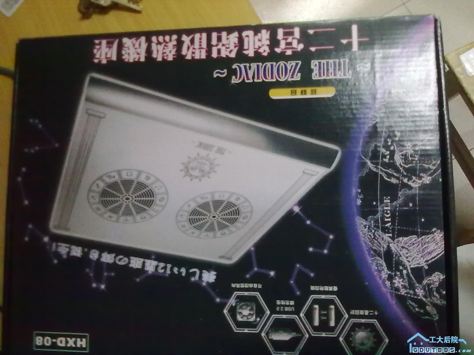 20100617020.jpg