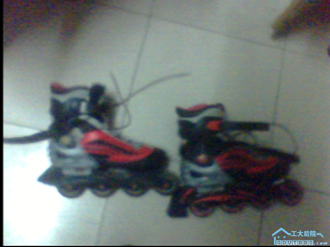 IMG0008A.jpg