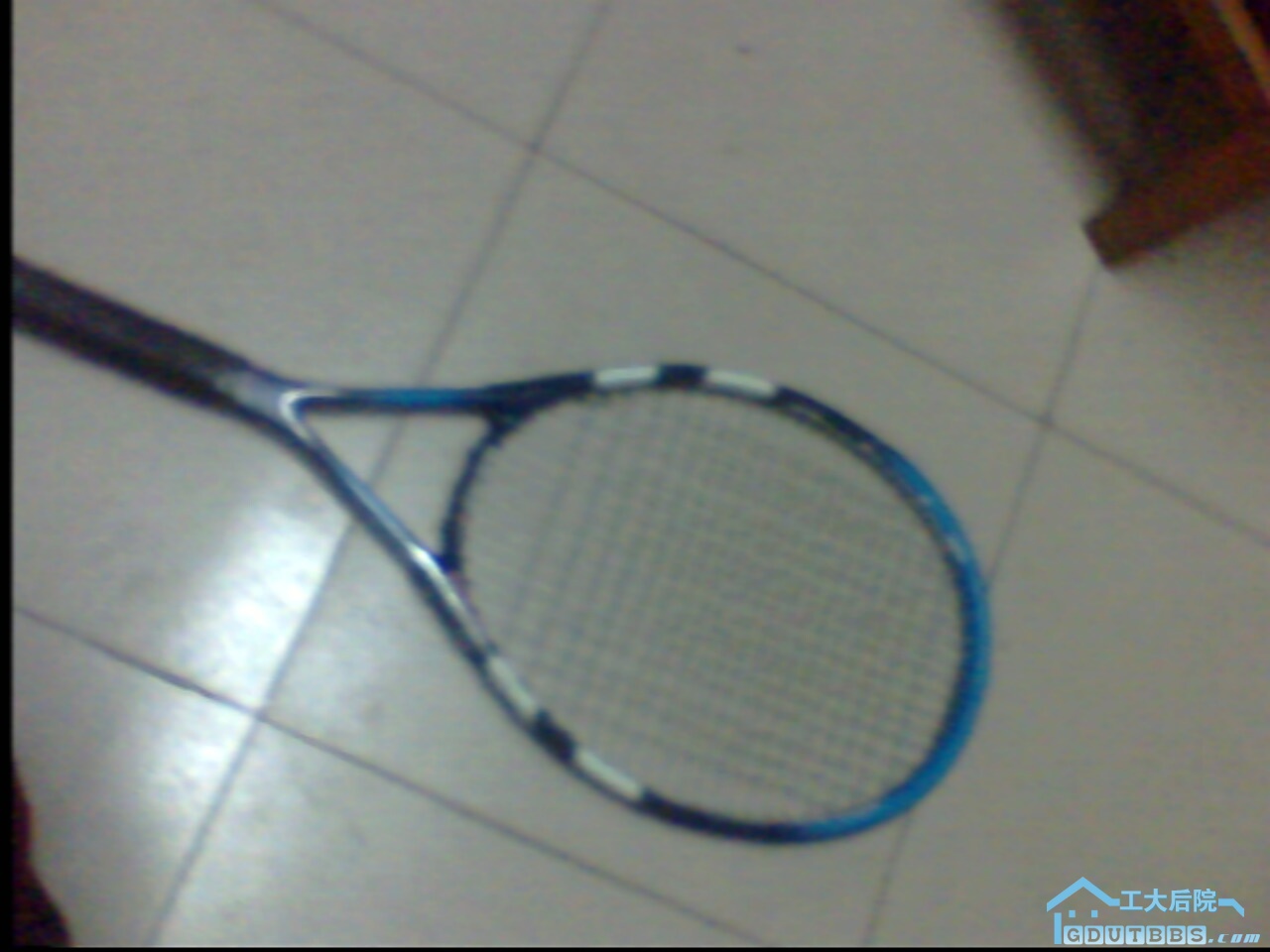 IMG0009A.jpg