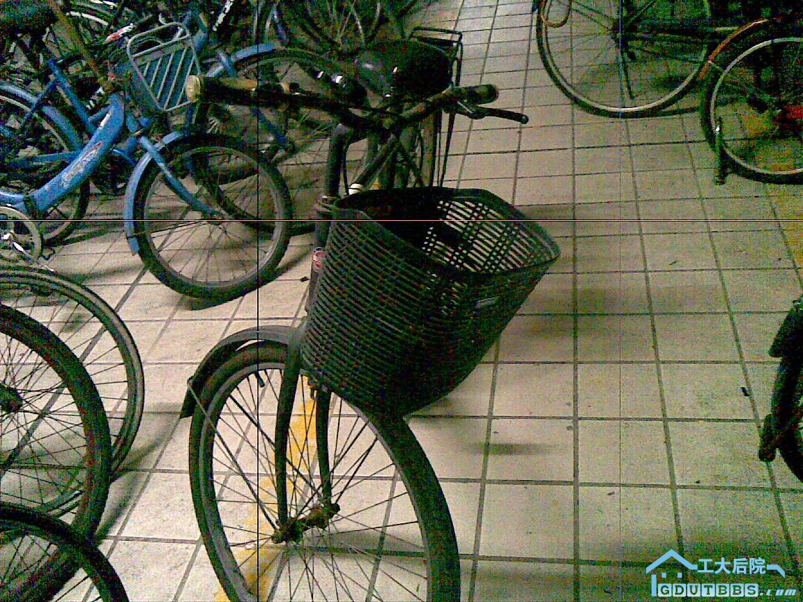 20100618(004).jpg