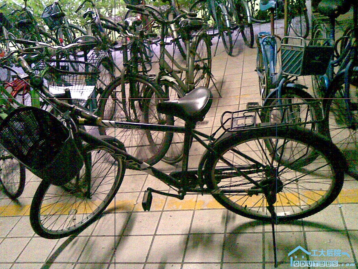 20100618(001).jpg