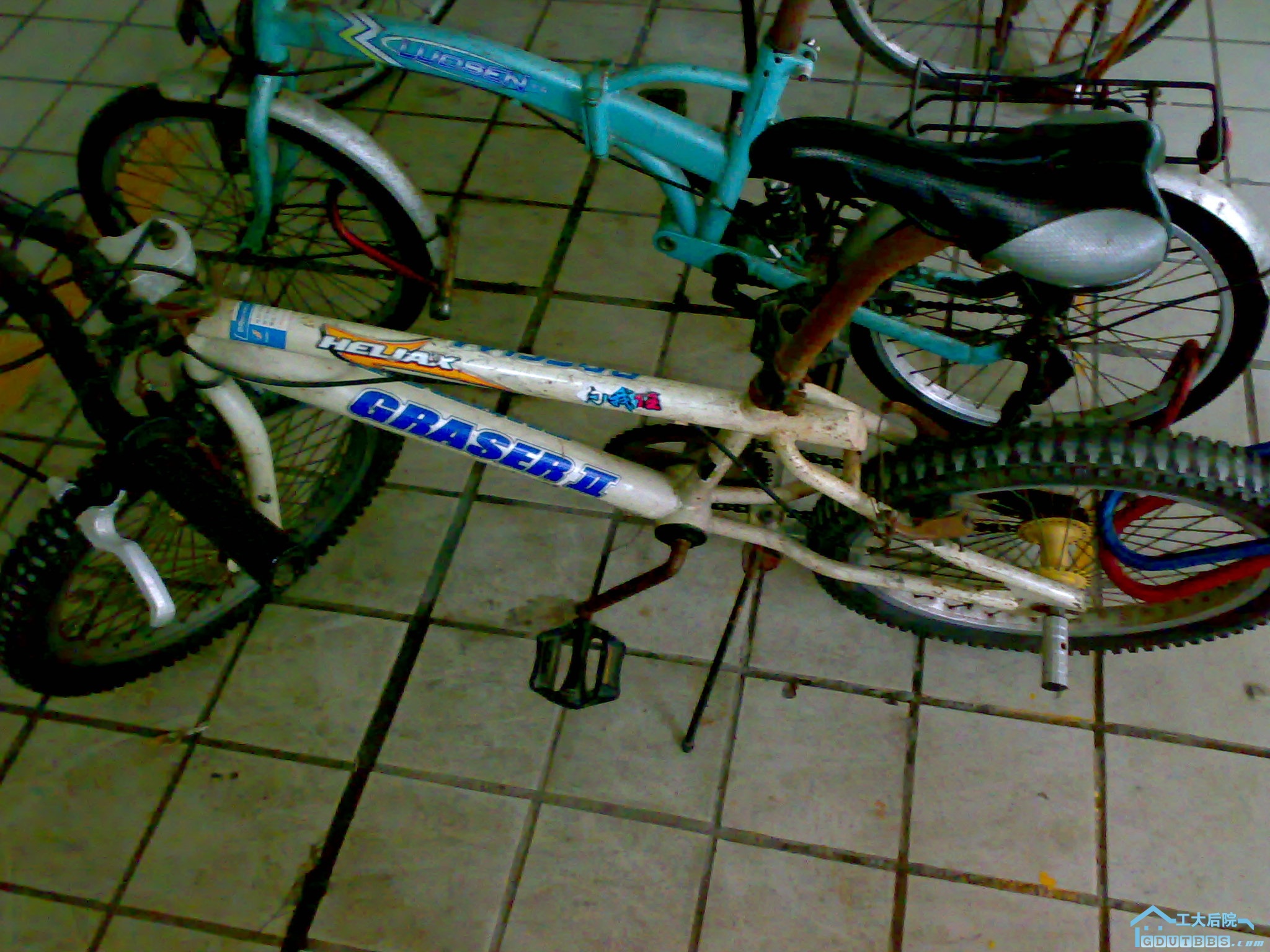 20100613264.jpg