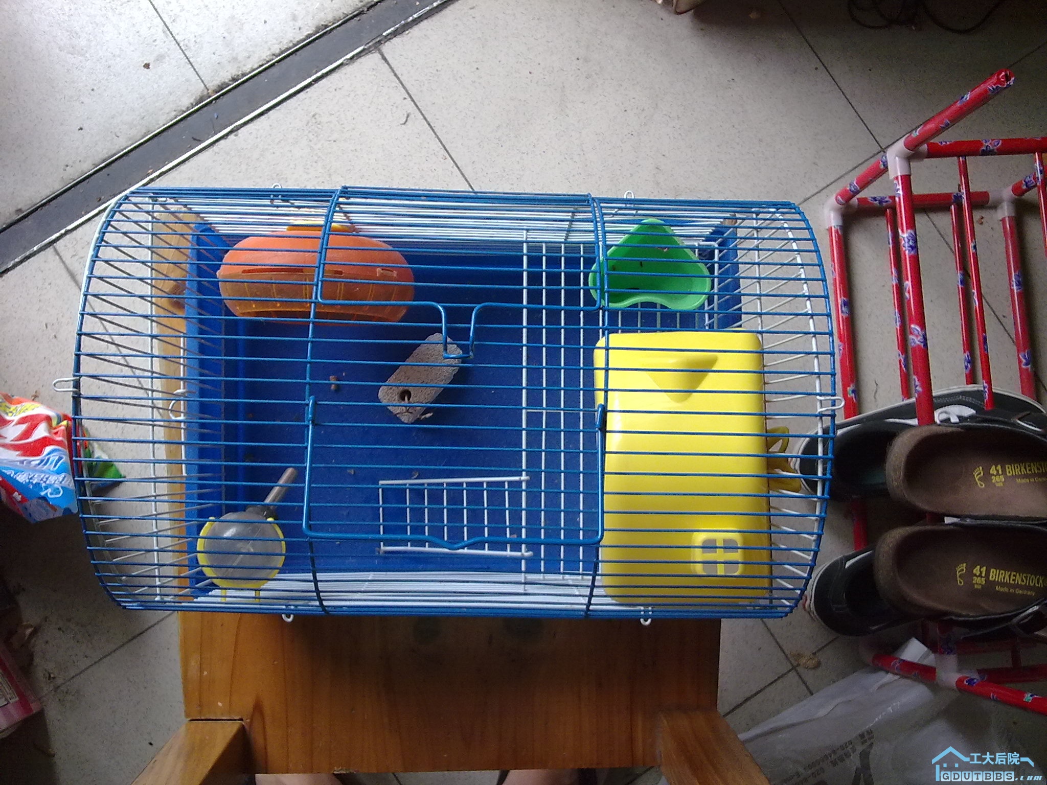 仓鼠笼，挺打一个的，15