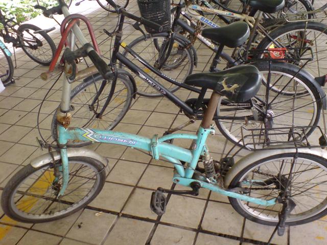 DSC01910.JPG