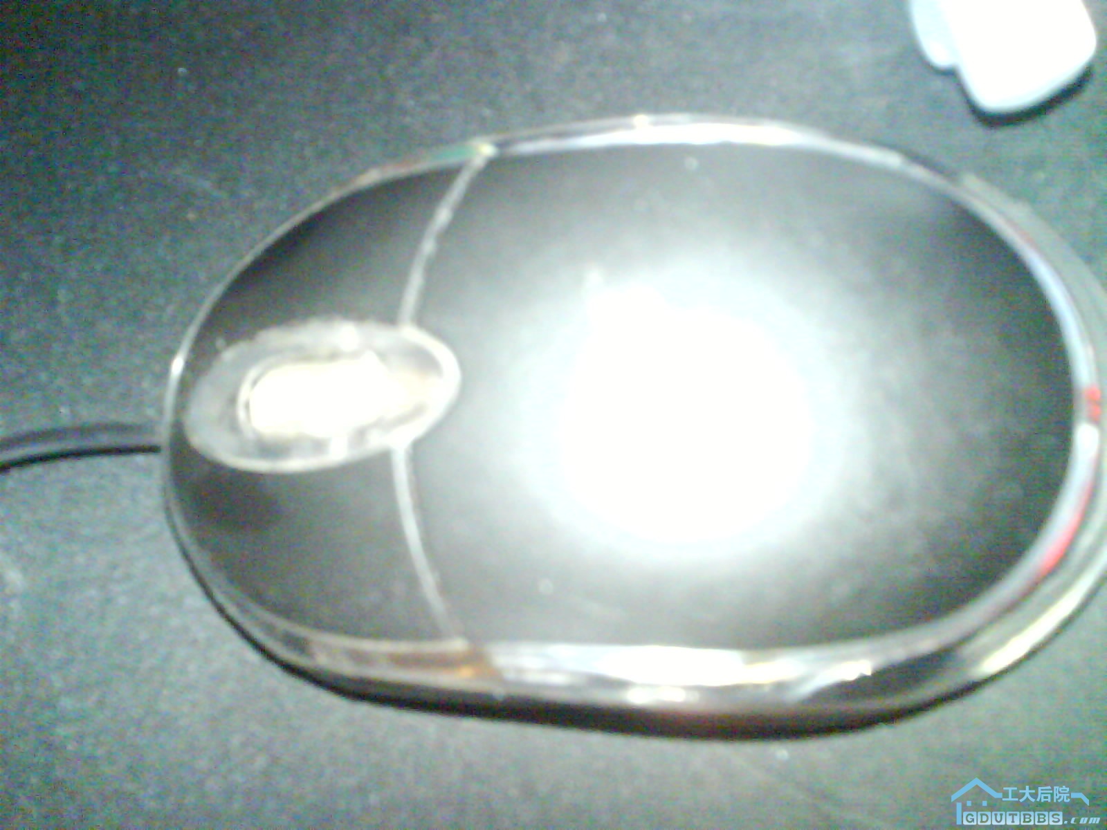 DSC00068.JPG