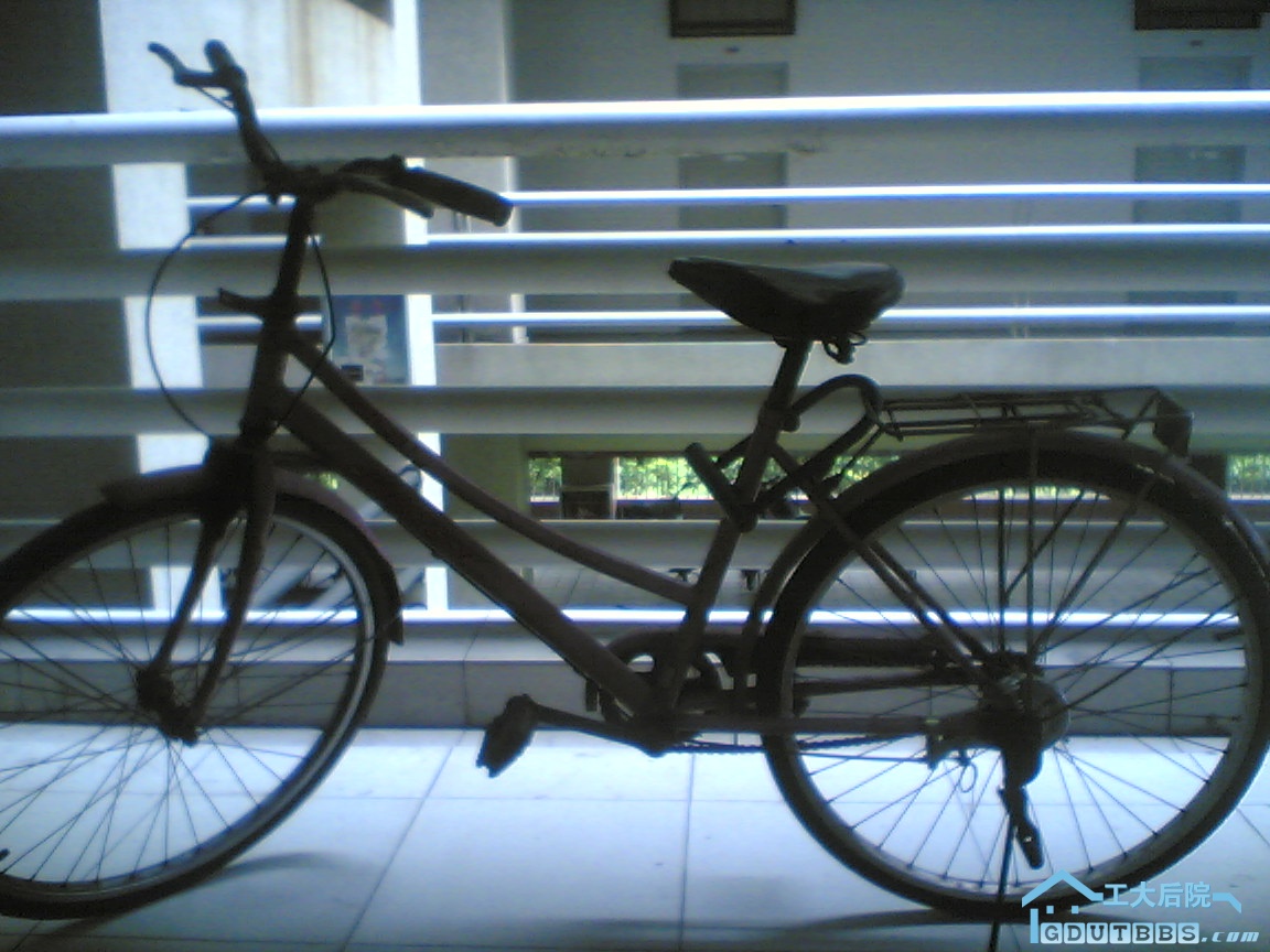 Image(193).jpg
