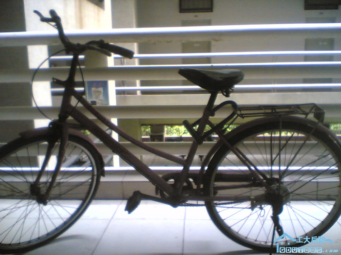 Image(192).jpg