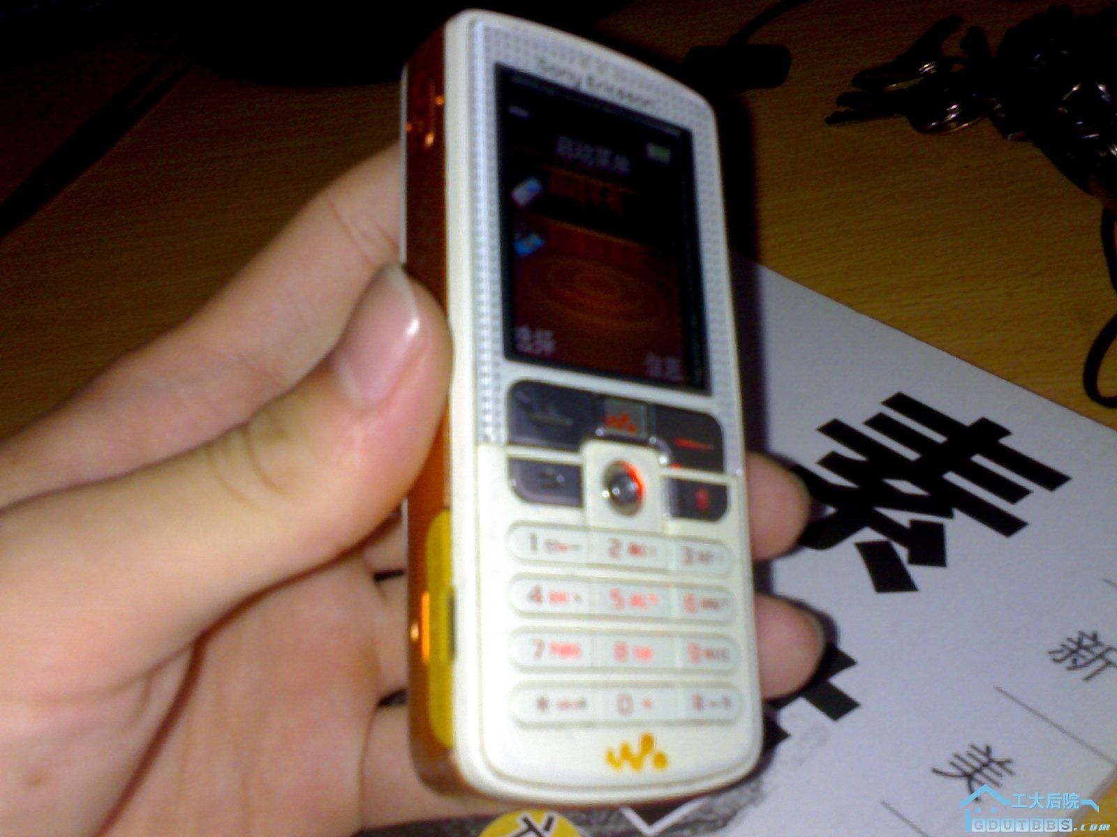 20100620042.jpg