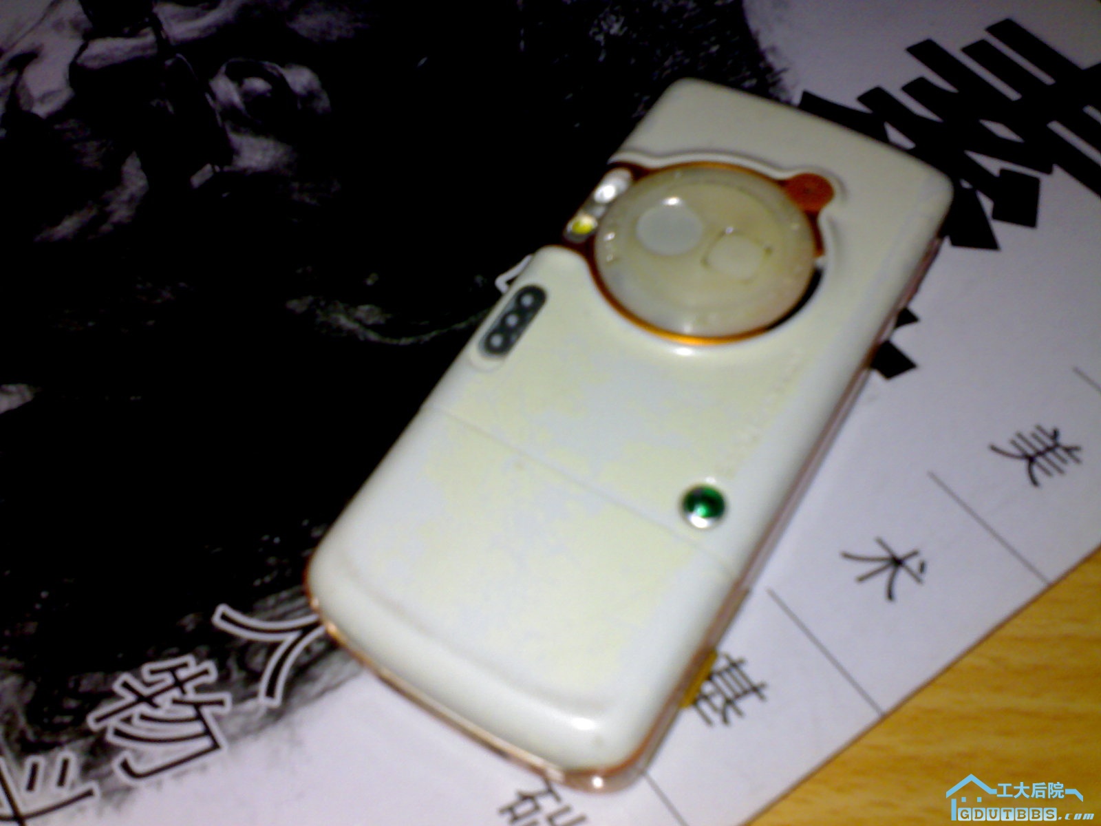 20100620041.jpg