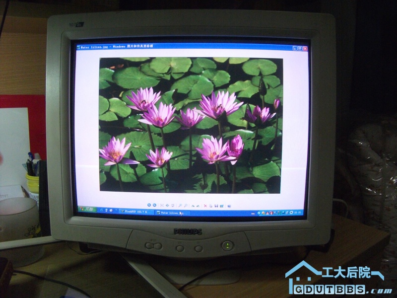 飞利浦显示器60（已出）