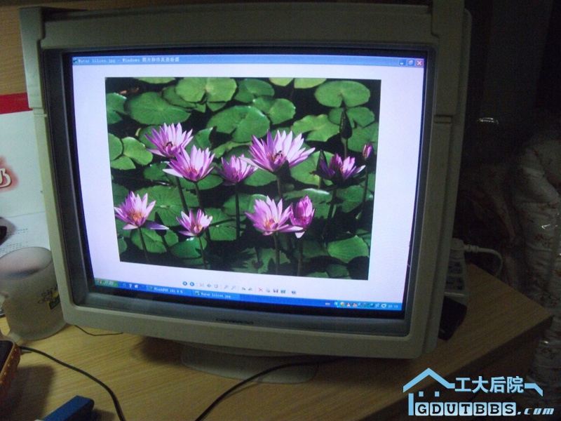 飞利浦显示器60块（已出）