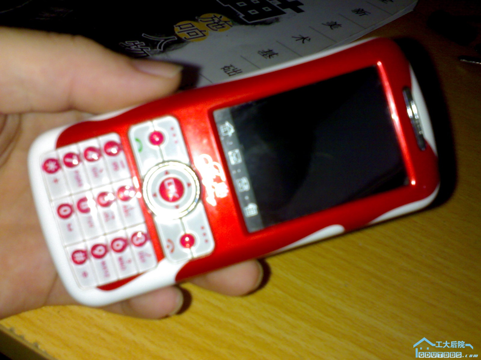20100620043.jpg
