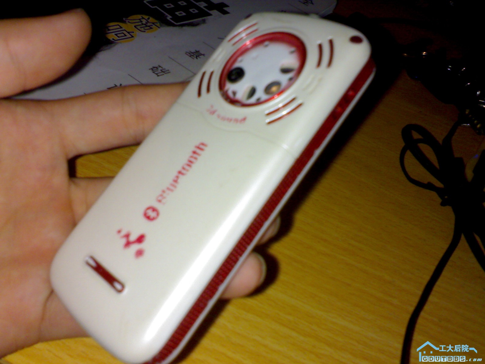 20100620044.jpg