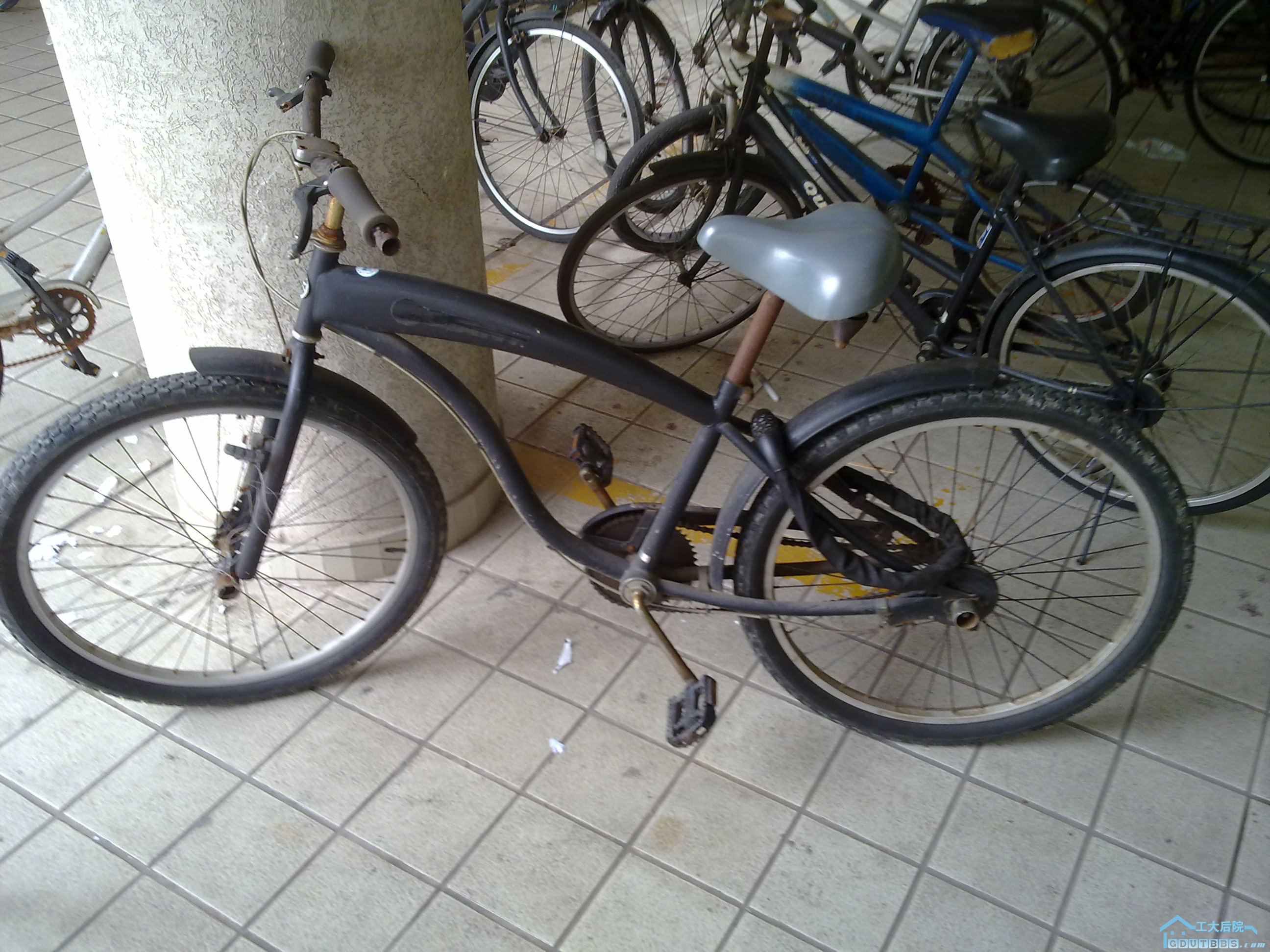 20100621081.jpg