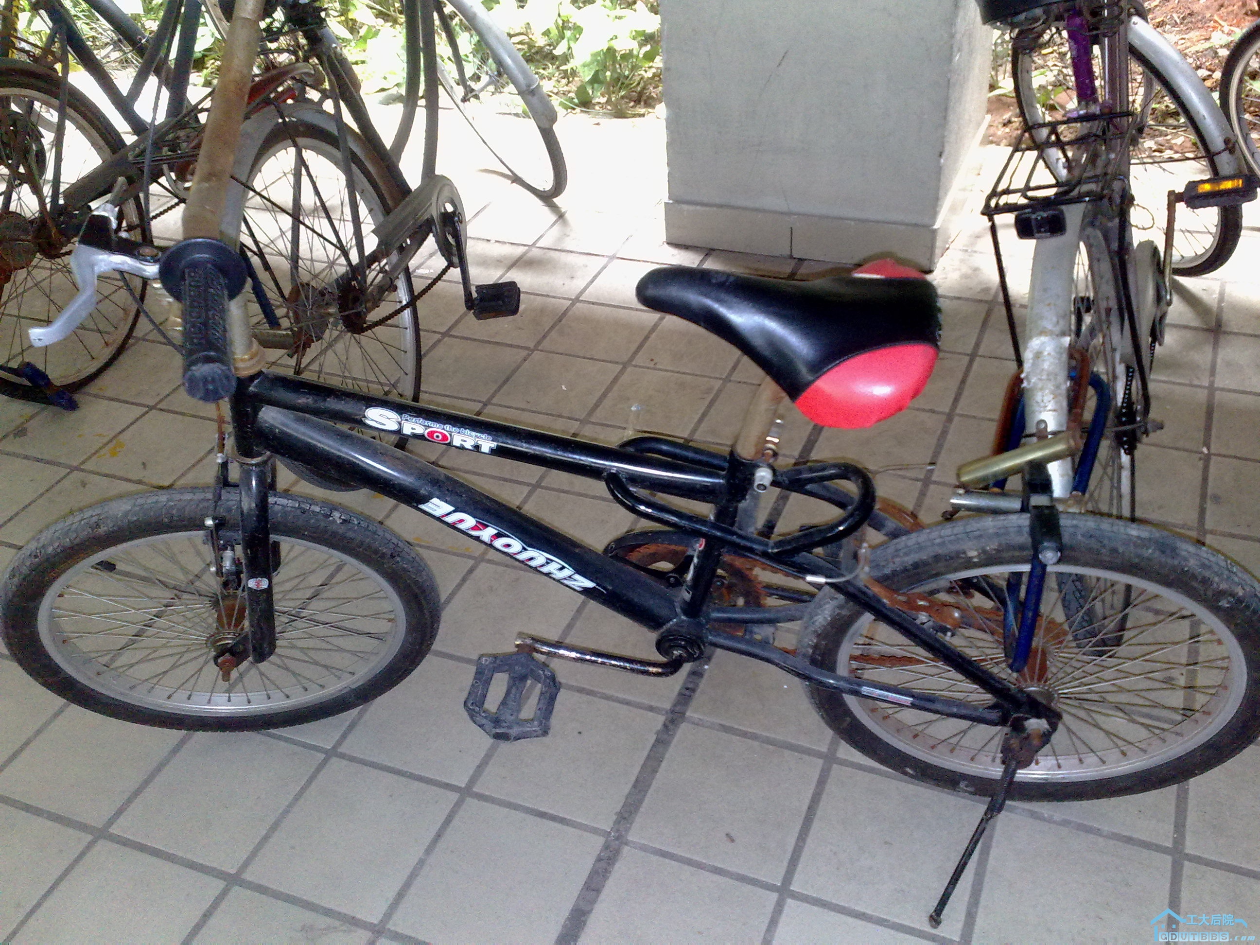 20100621168.jpg