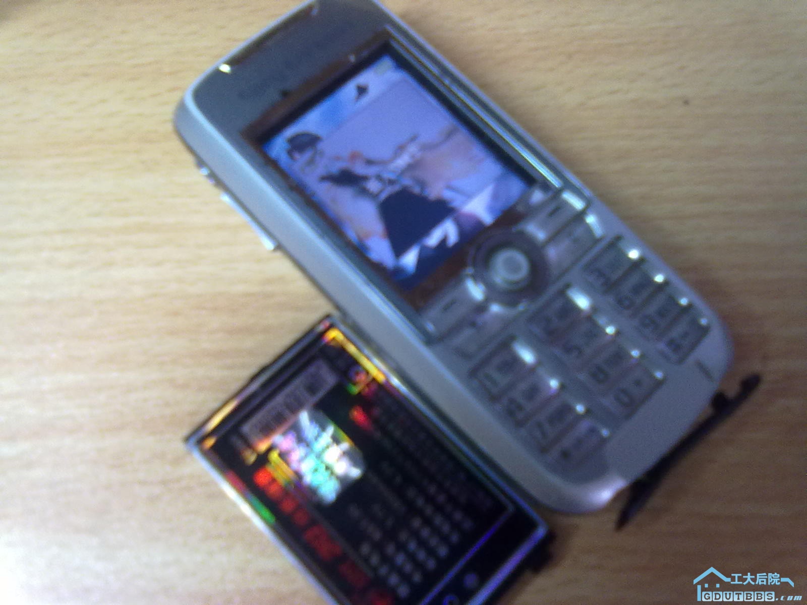 20100622034.jpg