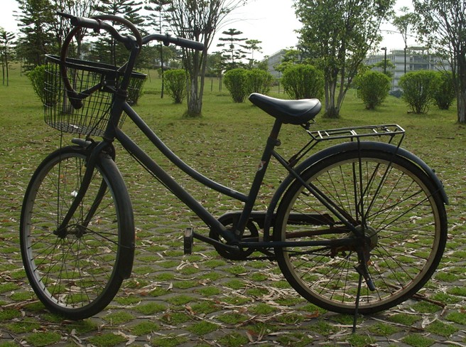 公主车