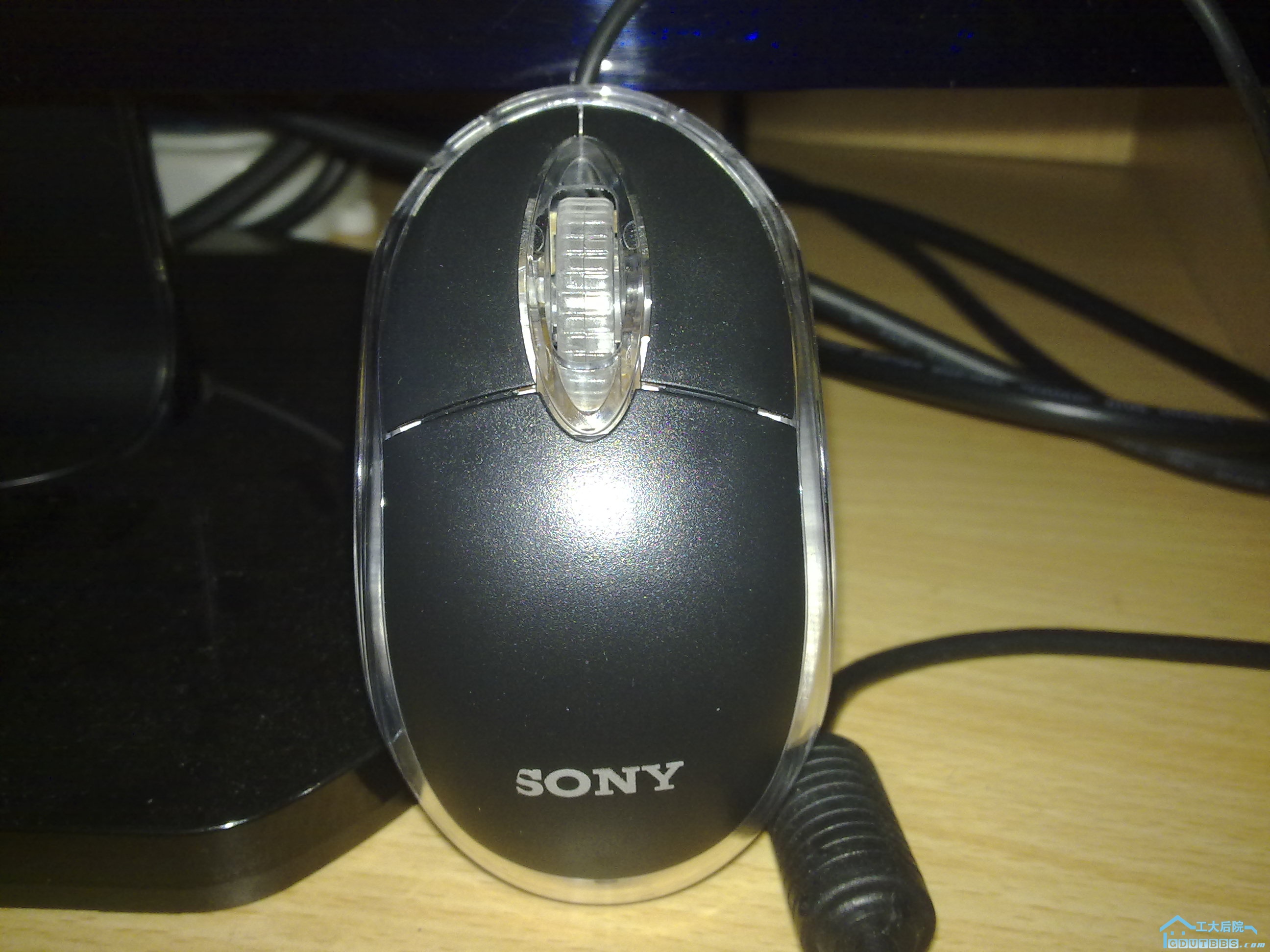 20100622039.jpg