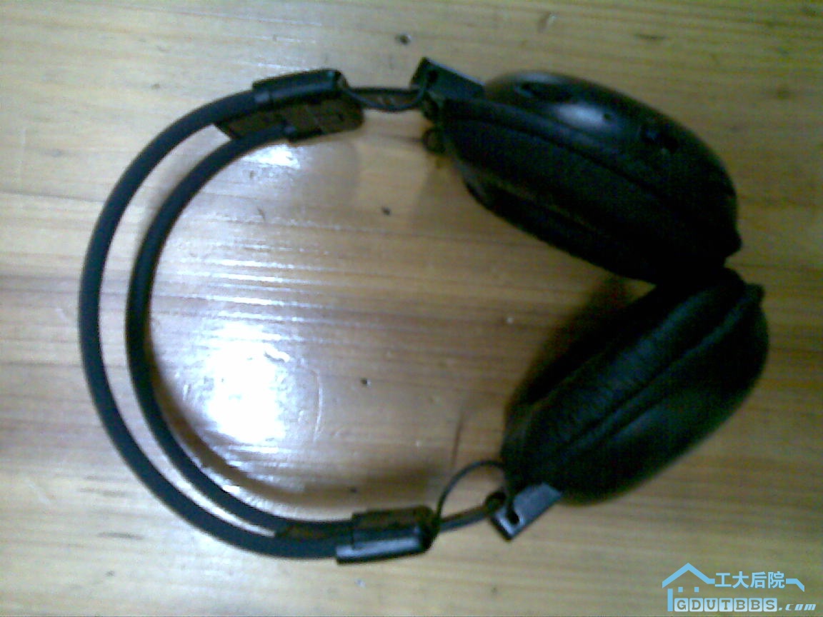ABCD0008.JPG
