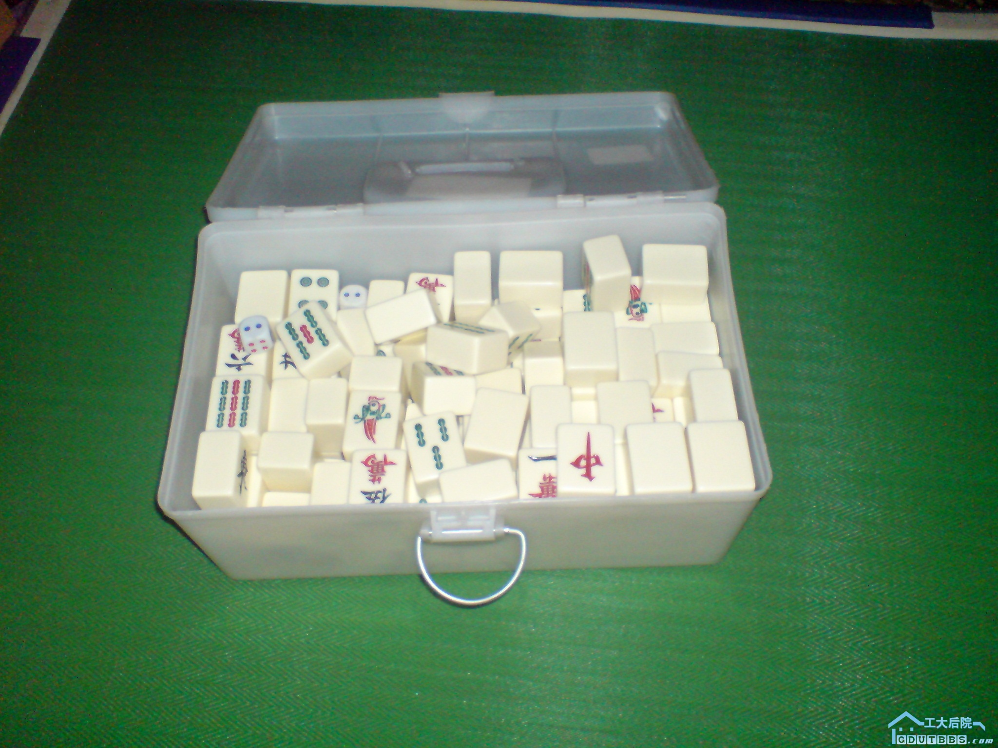 DSC00476.JPG
